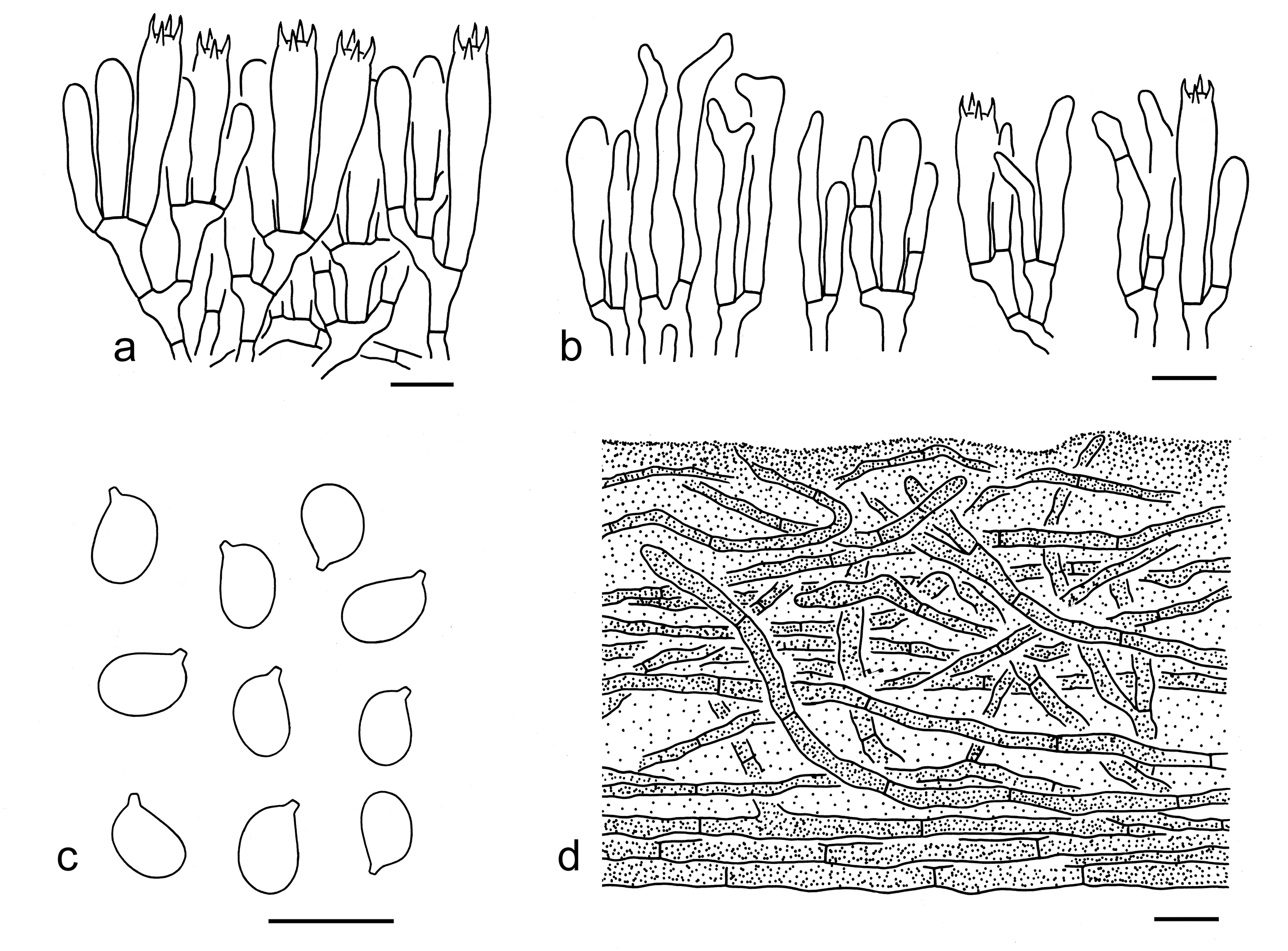 Figure 45